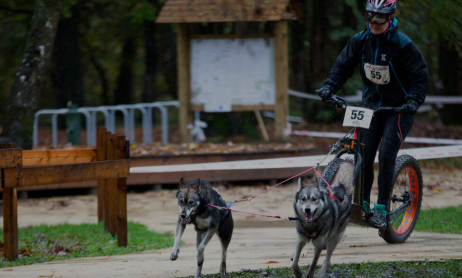 Mushing