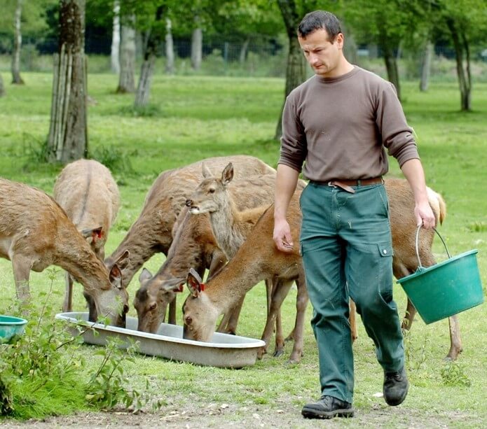 Zoo