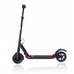Chauffeur routier
