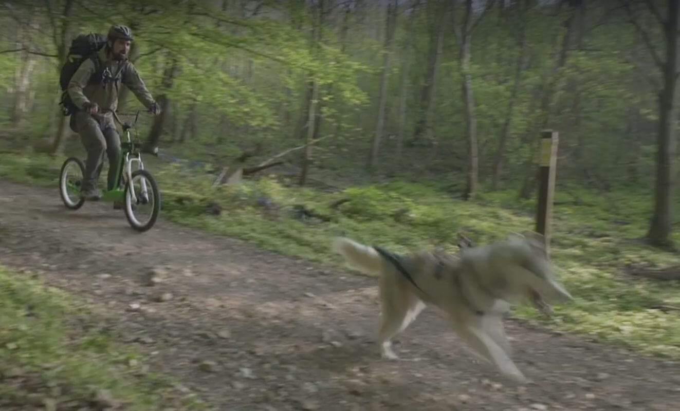 Mushing